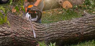 Best Lawn Drainage Solutions  in Broadway, VA
